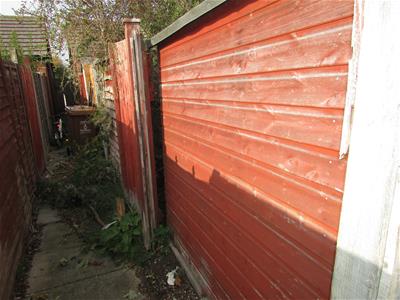 Picture 8